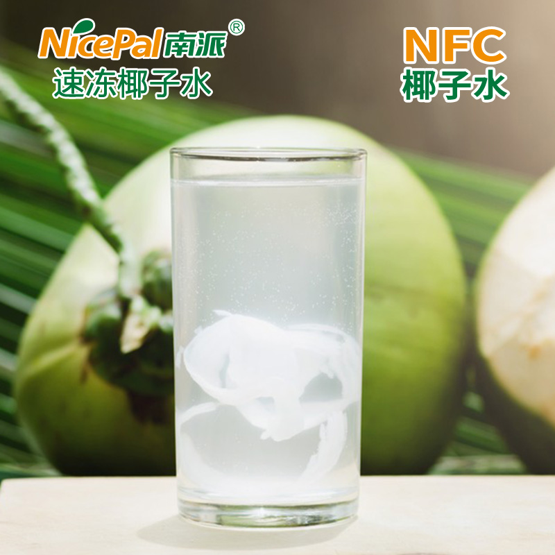 NFC замороженная чистая кокосовая вода (тайский ароматный кокос)