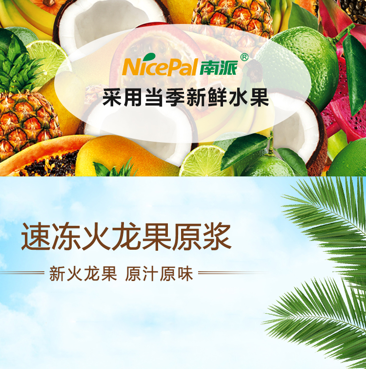 速冻火龙果详情页 _01