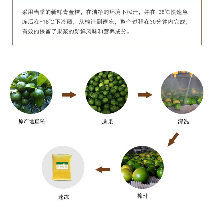 速冻青金桔详情页 _04