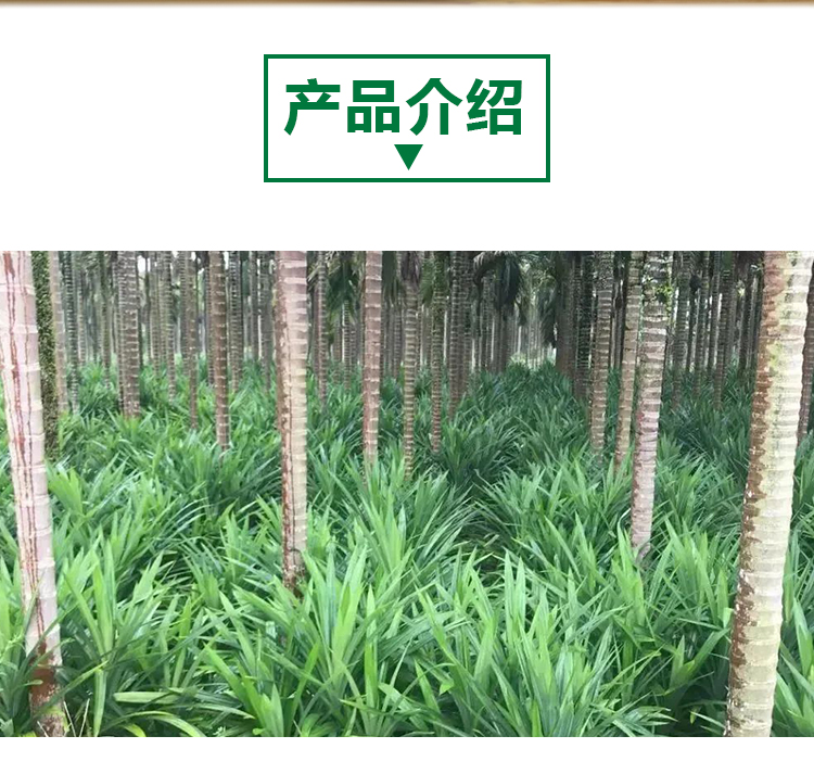 A403 详情页 _02