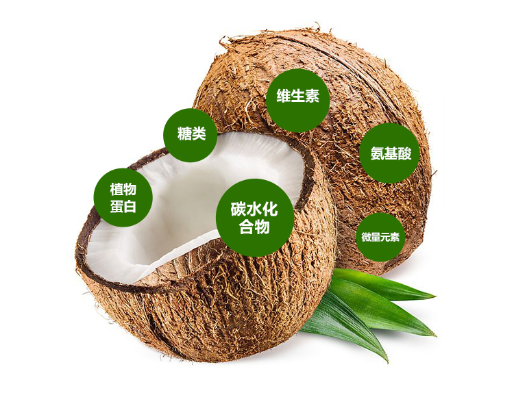 椰子蛋白粉详情页 _04