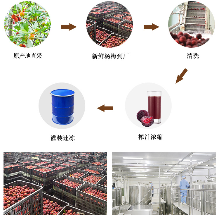 冷冻浓缩杨梅汁详情页 _05