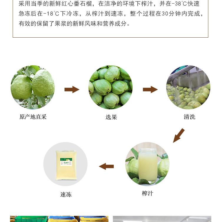 白心番石榴原浆情页 _03 速冻白心番石榴原浆情页 _04