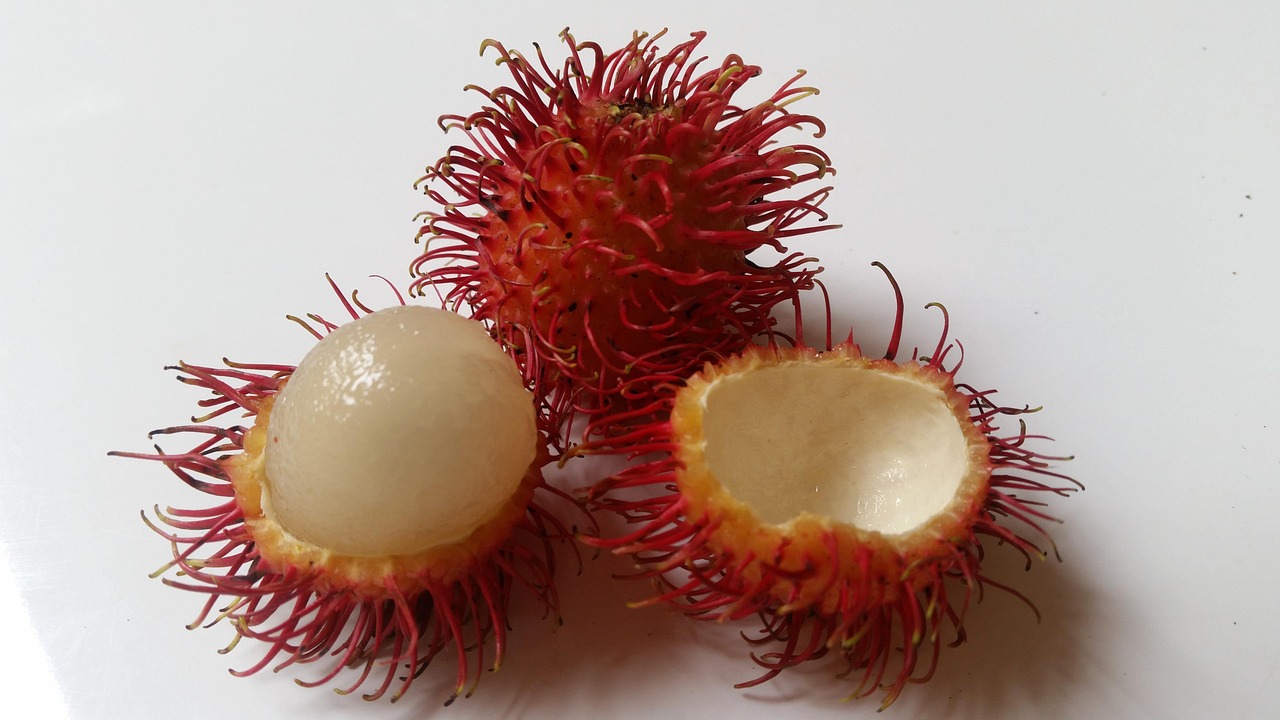 Fruit-5217360_1280 
