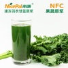 NFC Frozen Kale Pulp (листовая капуста)
