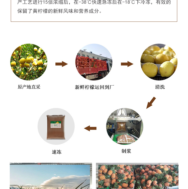 冷冻浓缩柠檬浆详情页 _04
