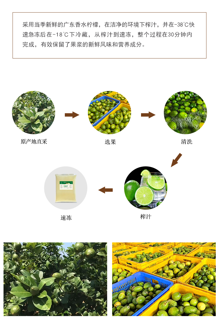 速冻香水柠檬原浆详情页 _03
