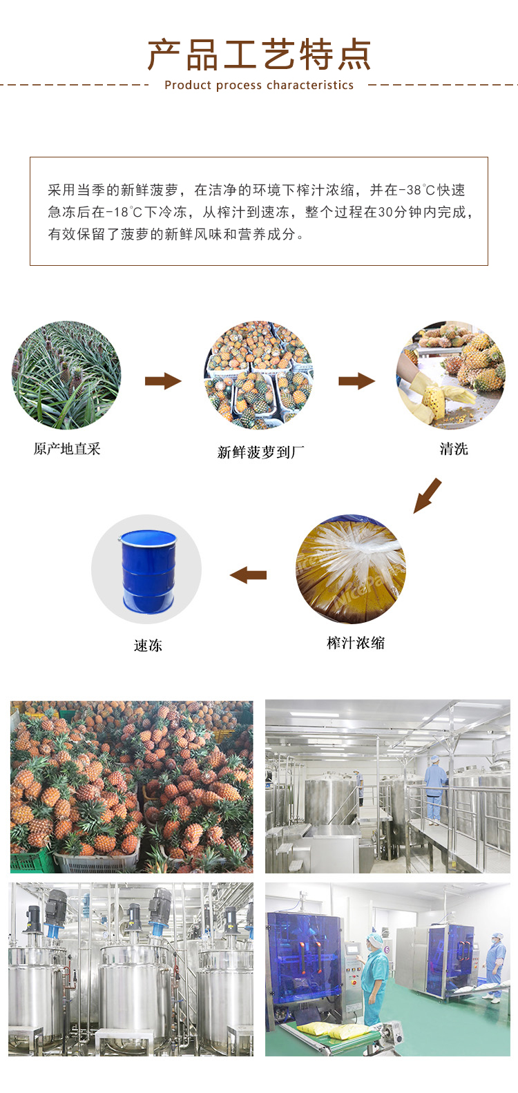 冷冻浓缩菠萝汁详情图 3