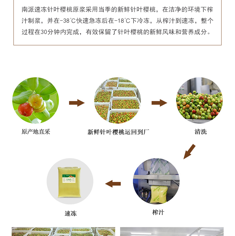 针叶樱桃原浆详情页 _04