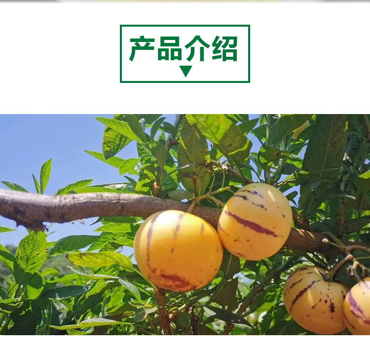 详情页 _02