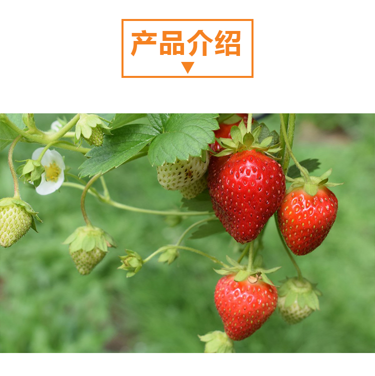 详情页 _02