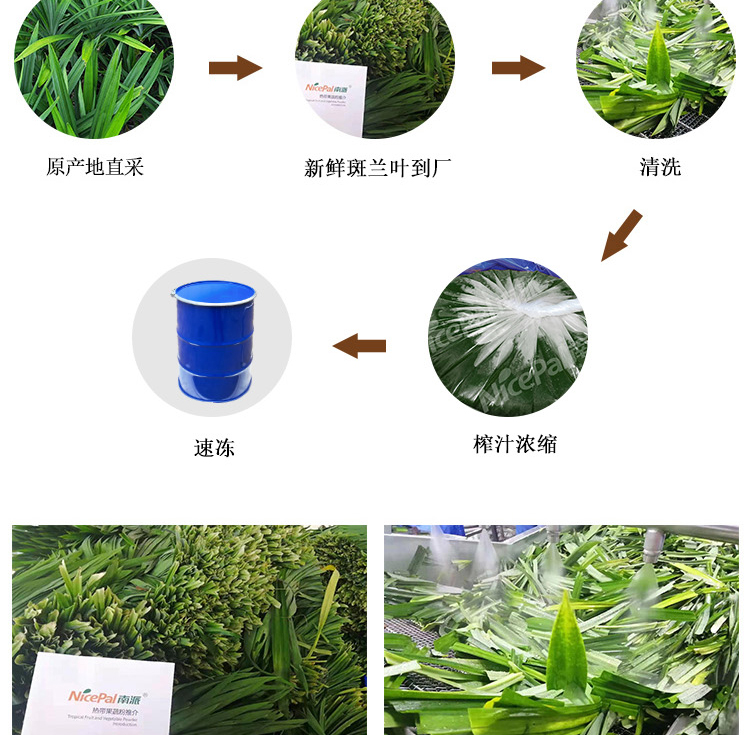冷冻浓缩斑兰叶汁详情页 _05