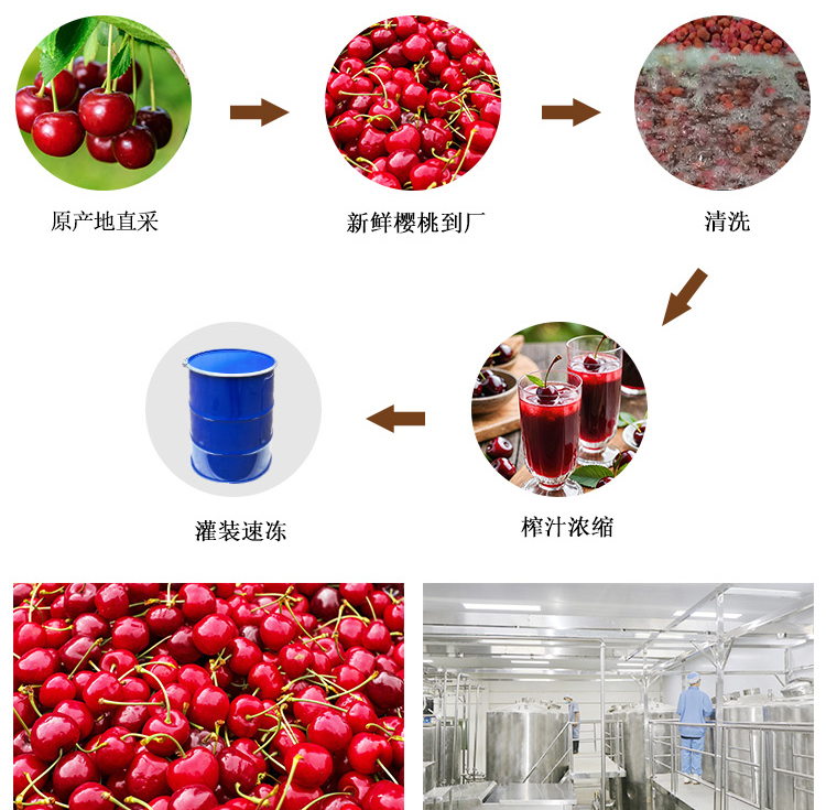 冷冻浓缩樱桃汁详情页 _05