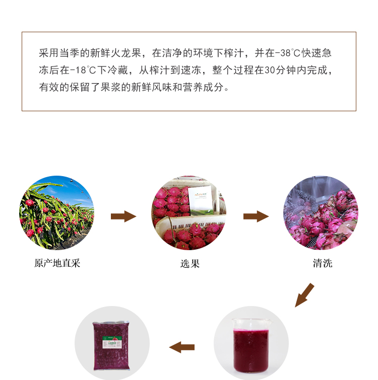 速冻火龙果详情页 _04