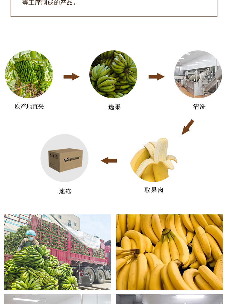 速冻香蕉条详情页 _05 速冻香蕉条详情页 _06