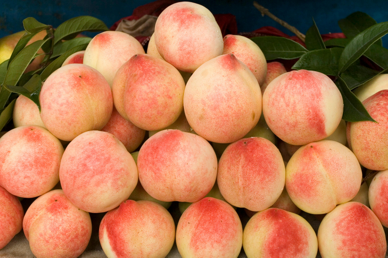 NFC Frozen Money Peach Pulp 