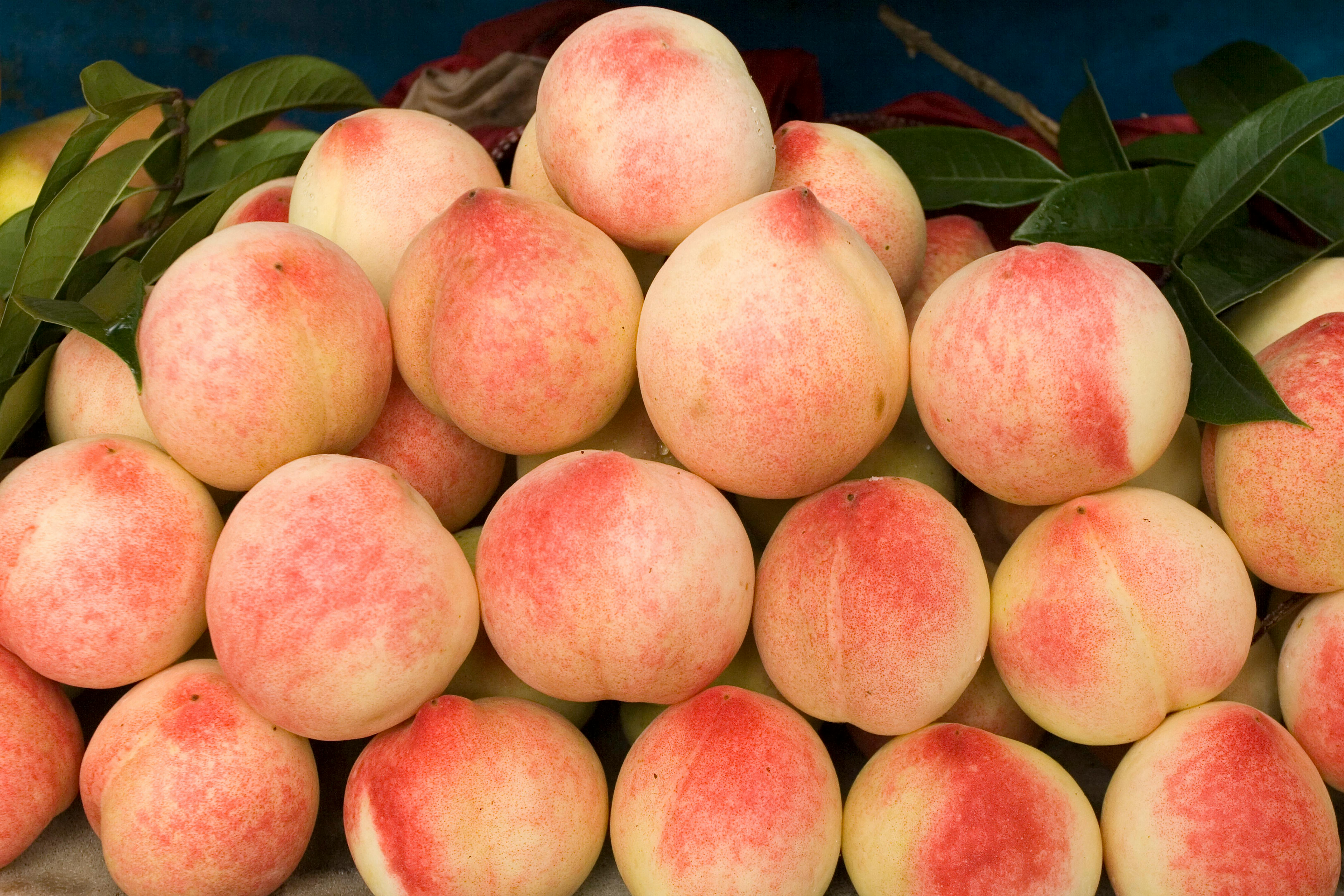 NFC Frozen Money Peach Pulp 
