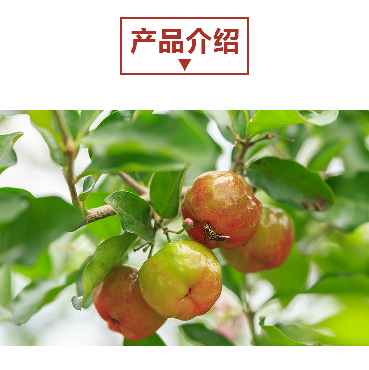 15 кг 针叶