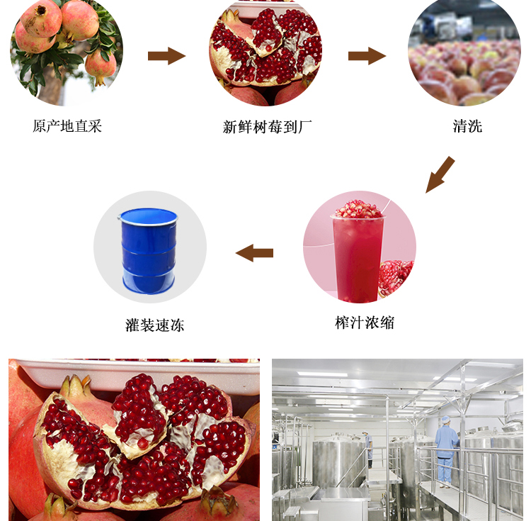 冷冻浓缩樱桃汁详情页 _05