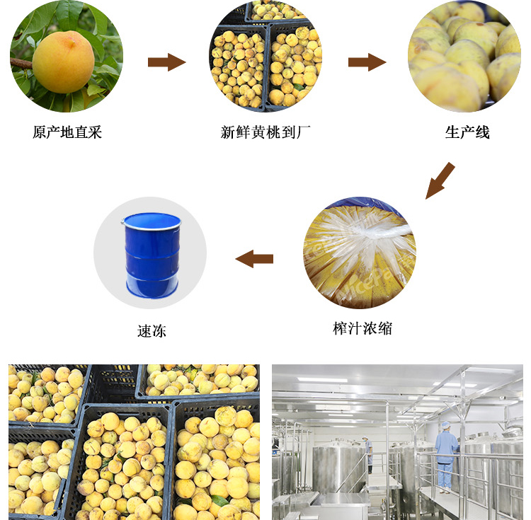 冷冻浓缩黄桃汁详情页 _05