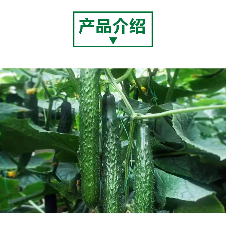 原粉详情页 _02