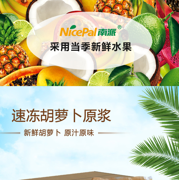 速冻胡萝卜原浆详情页 _01