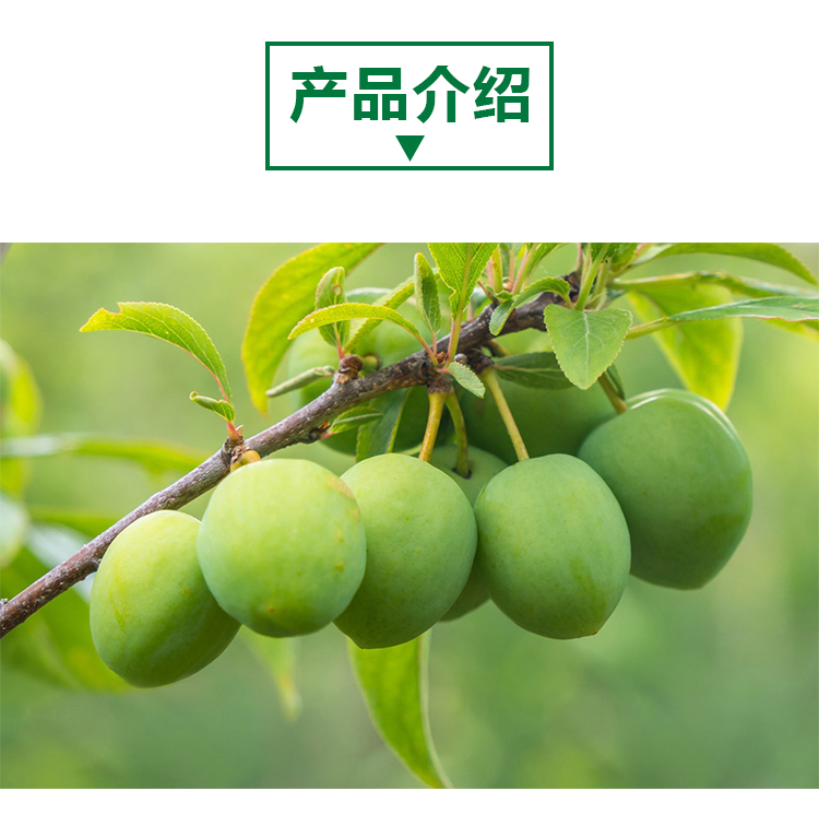15 кг 青梅原粉详情页 _02