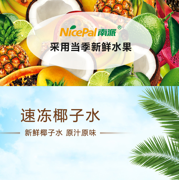 速冻椰子水详情页 _01
