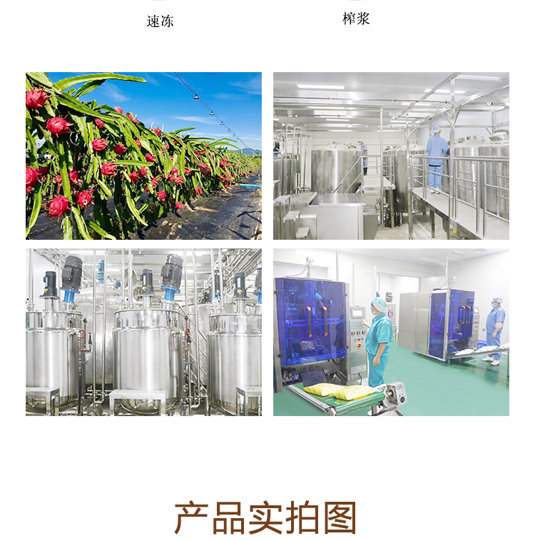 速冻火龙果详情页 _05