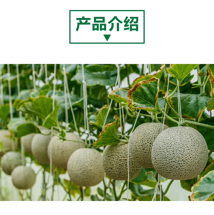详情页 _02
