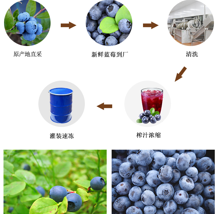 冷冻浓缩蓝莓汁详情页 _05