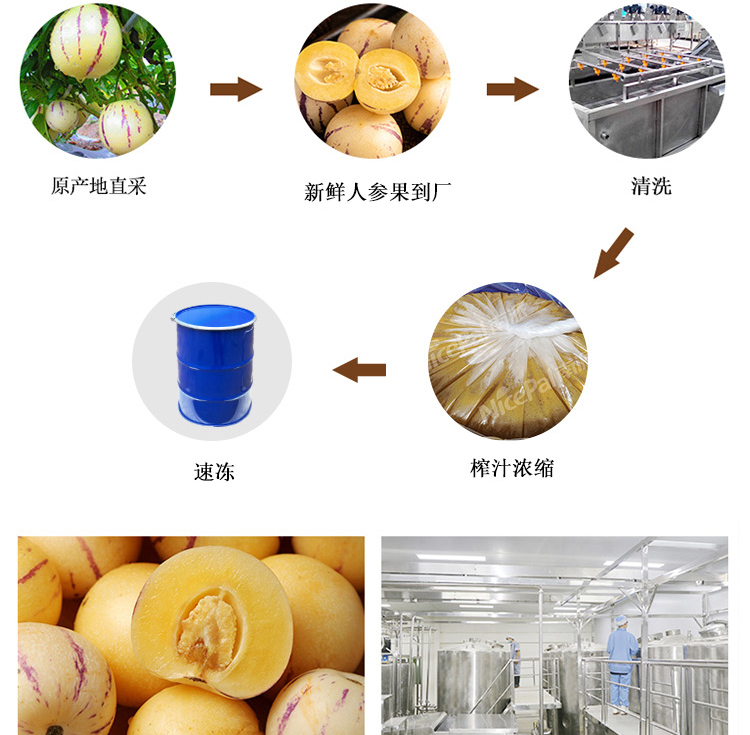 冷冻浓缩人参果汁-(2) _05