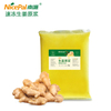 NFC Frozen Ginger Pulp 