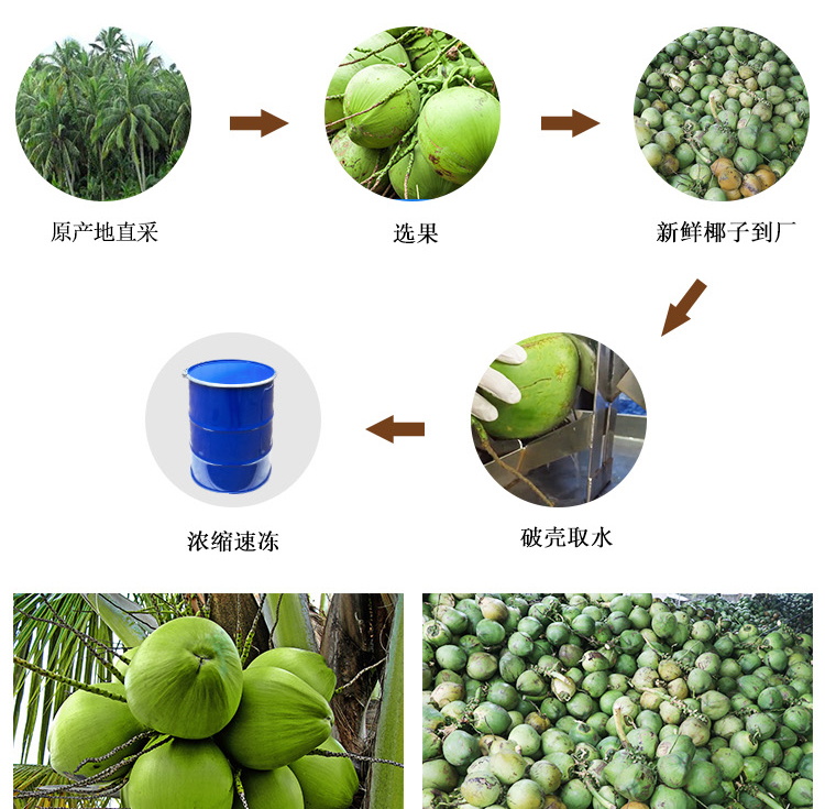 冷冻浓缩椰子水详情页 _05