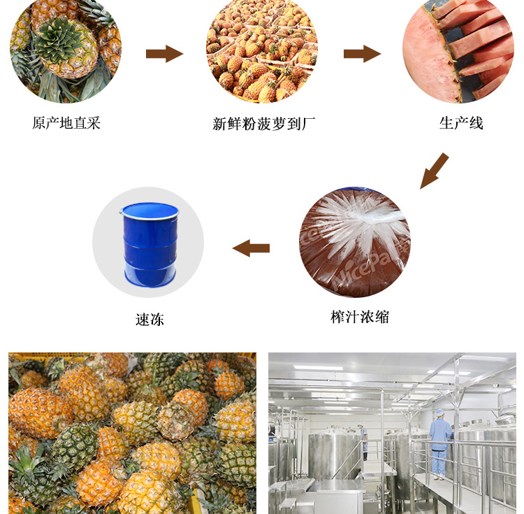 冷冻浓缩粉菠萝详情页 _05