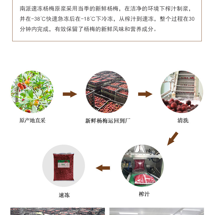 杨梅原浆详情页 _04