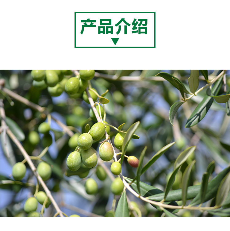 15 кг 橄榄原粉详情页 _02