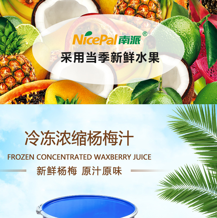 冷冻浓缩杨梅汁详情页 _01