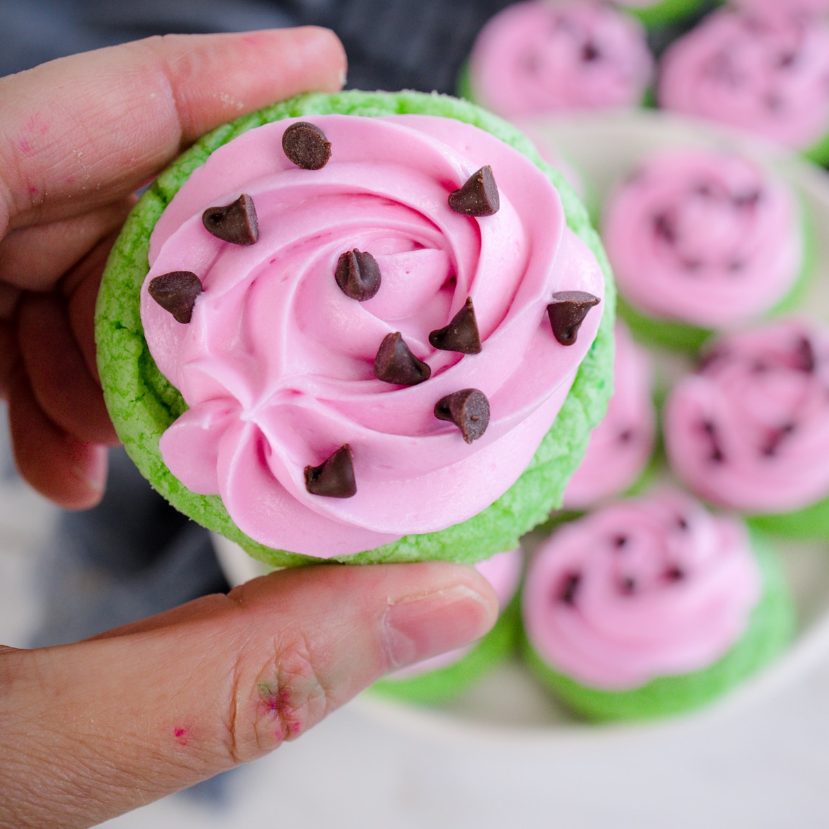Арбуз-кукис_best-cookie-recipes-203