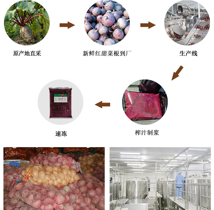 速冻红甜菜根原浆情页 _05