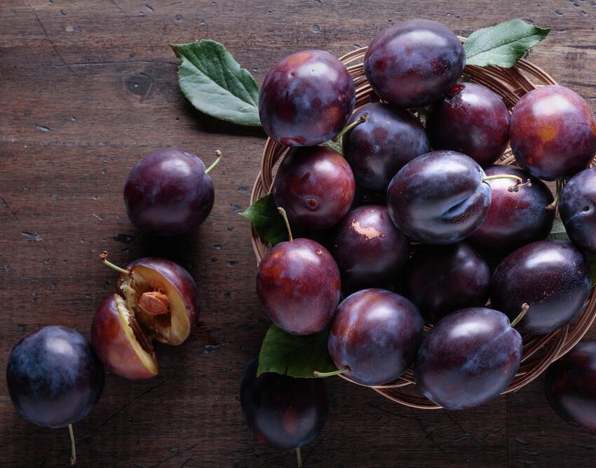 Чернослива Plum2