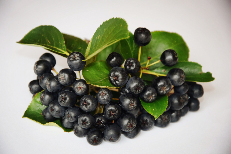 NFC Frozen Hookeberry Pulp (Aronia)
